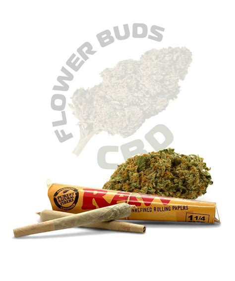 Og Kush Pre Rolled Cbd Joints And Spliffs Uks No1 Cbd Pot Shop