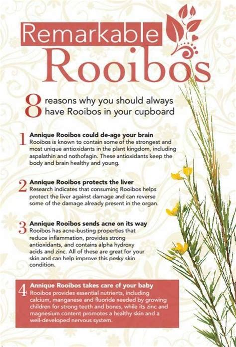 10 Amazing Health Benefits Of Rooibos Tea Artofit