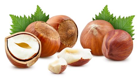 Chestnuts Vs Hazelnuts