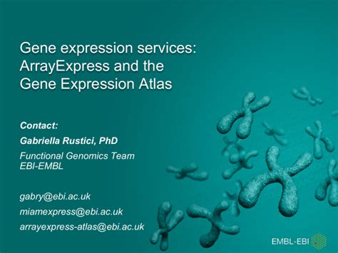 Gene Expression Services Array Express And Expression Atlas