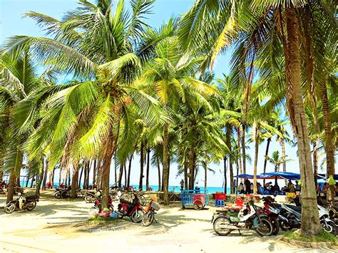 Cua Dai Or An Bang Which Beach Near Hoi An Will Win