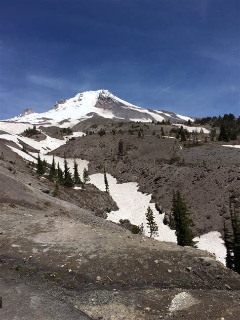 Mt Hood 34 Photos And 29 Reviews Hiking Mt Hood Government Camp