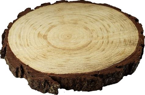 Pack Round Rustic Wood Slices For Weddings And Crafts