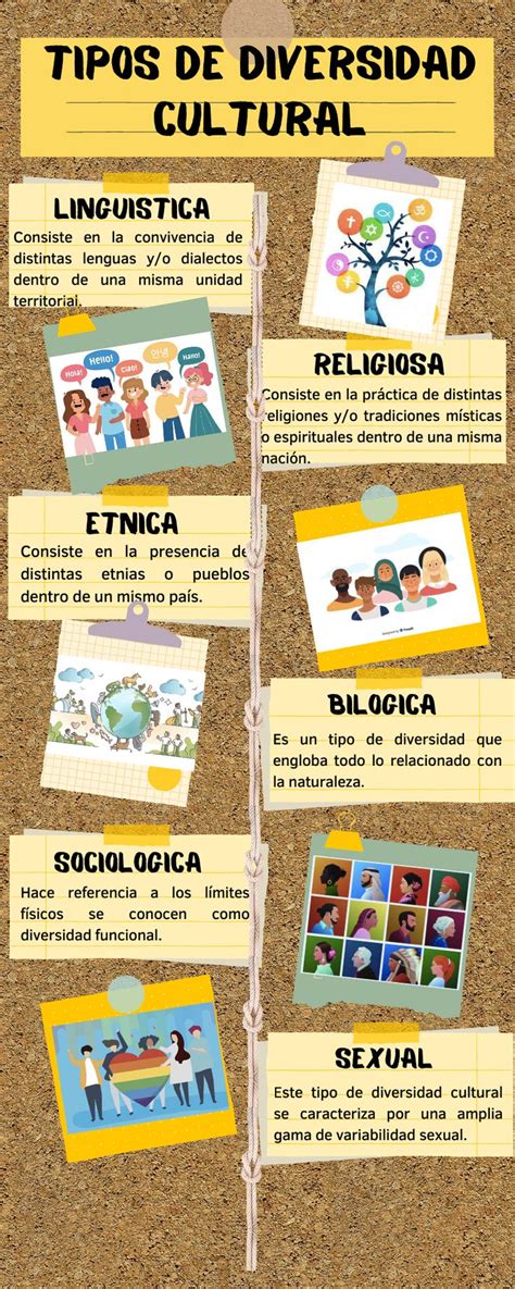 Pin De Nancy Diaz En Secundaria En Tipos De Diversidad