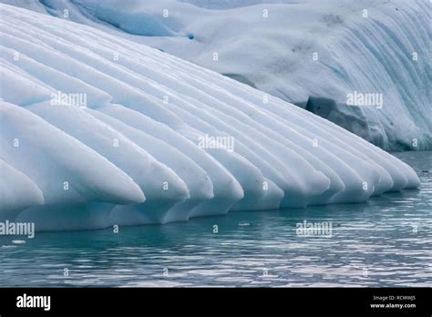 Antarctic icebergs in the waters of the ocean. Antarctic landscape Antarctic icebergs in the ...