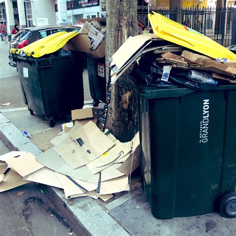 Eboueurs De Lyon On Twitter Bonjour Les Grands Lyonnais Et Les