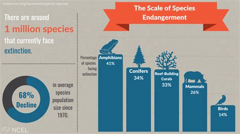 The Scale Of Species Endangerment National Caucus Of Environmental