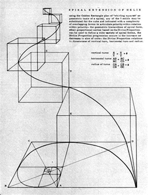 Mathematics Nature Form Finds Symmetry In Geometry In Zodiac