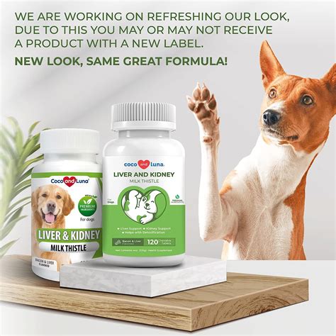 Buy Milk Thistle For Dogs Liver And Kidney Support Supplement Dog