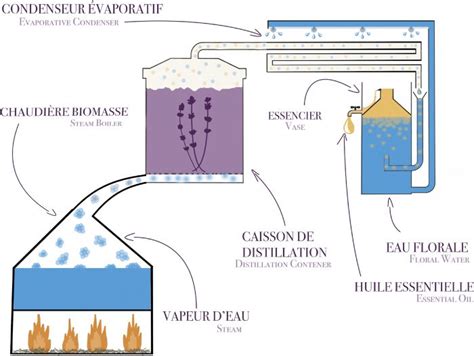 Nous D Couvrir Distillerie Duffez