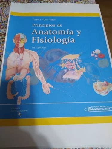 Principios De Anatomía Y Fisiología 13ª Edición Tortora en venta en