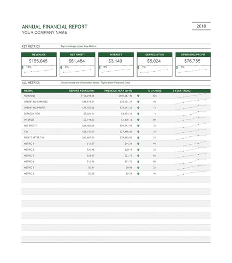 Costum Annual Financial Report Template Word Stableshvf