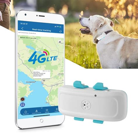 Gps Per Cani Guida Ai Migliori 7 Localizzatori