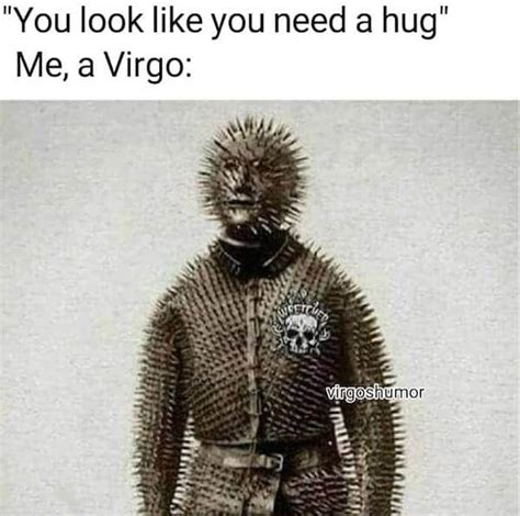 27 Funny And Relatable Virgo Memes That Are Basically Facts - Zodiac Memes