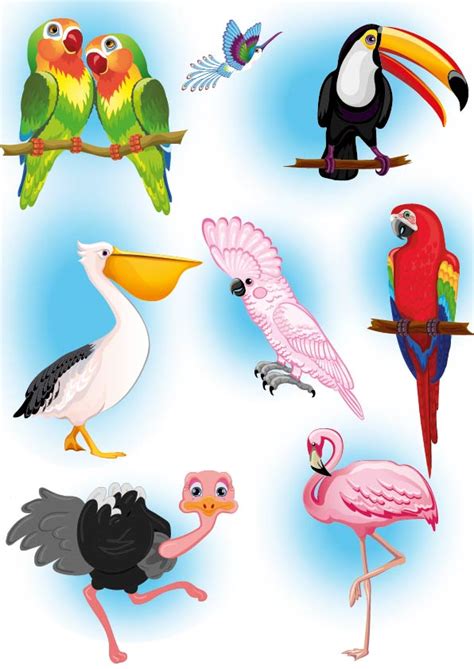 Иллюстрация Птицы джунглей в стиле 2d | Illustrators.ru