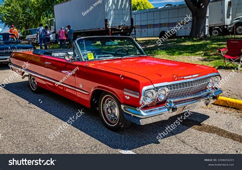 Impala Images Stock Photos Vectors Shutterstock