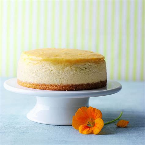 Sunshine White Chocolate Cheesecake Rezept ESSEN UND TRINKEN