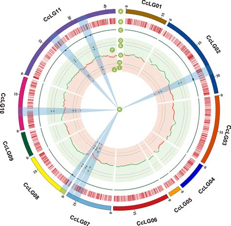 Global Distribution Of Snp Index And Nonsynonymous Snps A