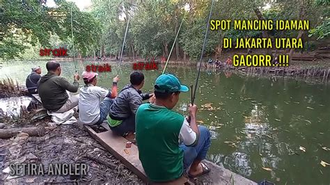 Ini Dia Spot Mancing Idaman Di Mangrove Pantai Indah Kapuk Jakarta