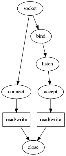 System Calls Tcp Ip Illustrated Vol