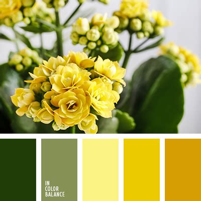 color pera | IN COLOR BALANCE