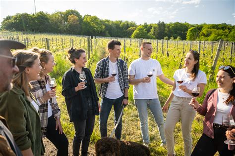 Weinfr Hling Mittelahr Veranstaltungskalender