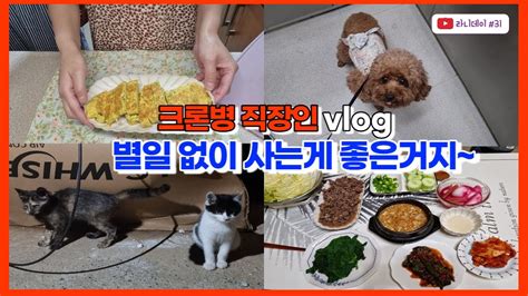 Vlog 크론병브이로그건강식 해 먹으며 동네 강아지 길고양이들 챙기는 별일없는 일상크론병강된장호박잎집밥가지볶음