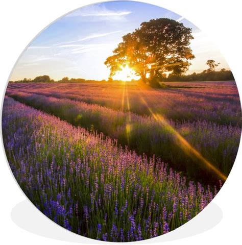 Wall Circle Wall Circle Indoor Le Soleil Se L Ve Lentement Dans Le