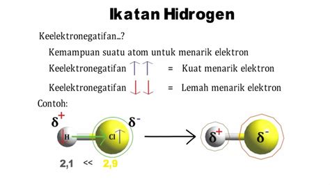 Xi2a Ikatan Hidrogen Teori Youtube