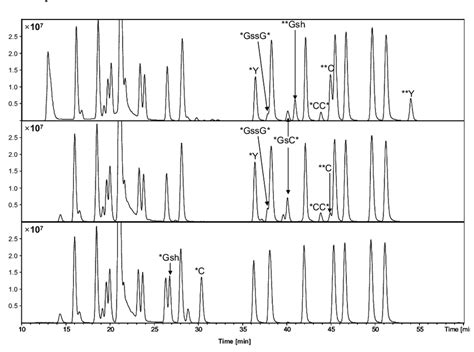 Base Peak Chromatogram Of The Standard Amino Acid Mixture See Figs 2 Download Scientific