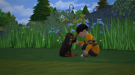 Best Sims 4 Pet Poses For Dogs Cats All Free Fandomspot | Parkerspot