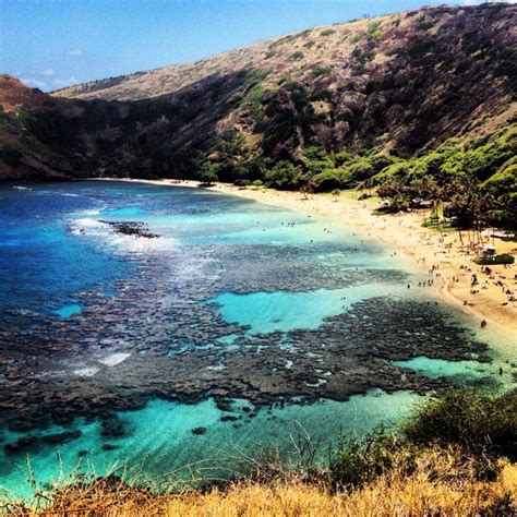 Hanauma Bay Is The Most Beautiful Beach That I Have Ever Snorkelled At While This Picture Is