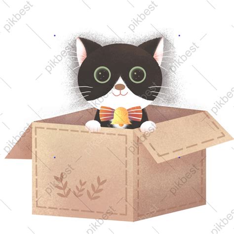 cute cat sa isang kahon cartoon cute na animated gif na elemento