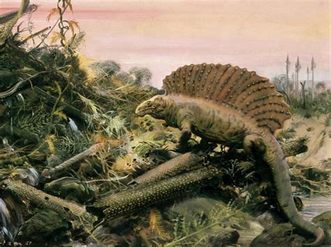 Permian Period Pictures Prehistoric Photos National Geographic