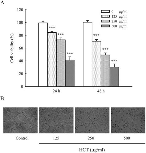 Effects Of HCT On Cell Viability And Morphological Changes In Human