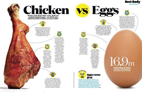 Chicken Vs Eggs Women S Health Australia Everand