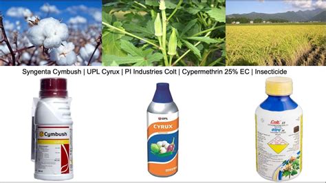 Syngenta Cymbush Upl Cyrux Pi Industries Colt Cypermethrin Ec