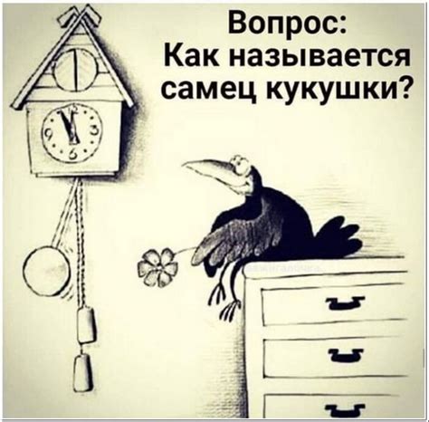 Ответы Mail: Хм А Как Называется Самец Кукушки?