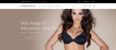 Top 10 Lingerie WooCommerce Themes Suitable For Your Online Store