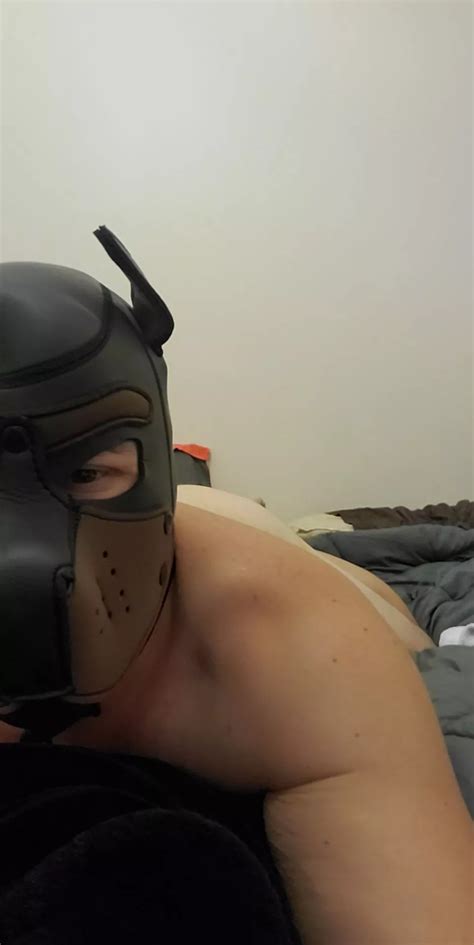 Pup Jake Needs To Go Out Nudes Pupplay Nude Pics Org