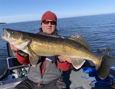 Trophy Walleye Fishing In The Spring Green Bay Trophy Fishing