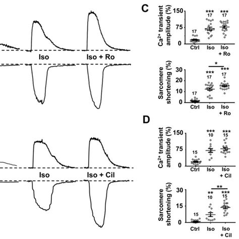 Pde3 And Pde4 Inhibition Leads To Inotropic And Lusitropic Effects And