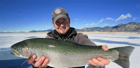 Antero Blue Mesa 11 Mile Taryall Ice Fishing Guides Colorado Ice