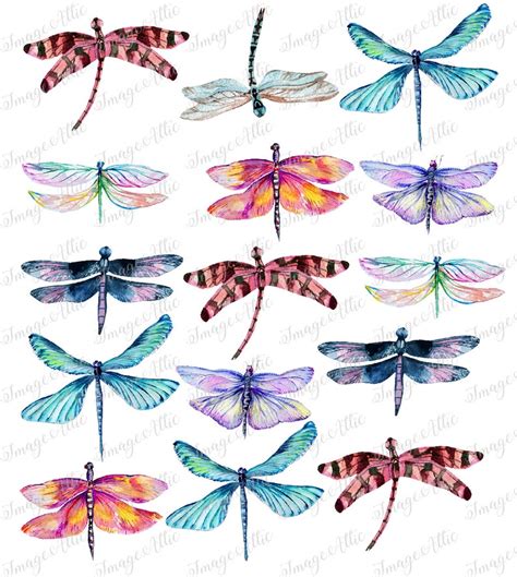 Colorful Dragonflies Waterslide Decal Clear Yetti Supply Ready To Use