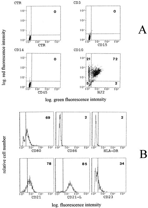 Flow Cytometric Analysis Of Surface Antigens Of Cultured Term Human