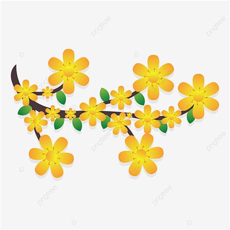 Yellow Apricot Blossom Vector Hd Images Apricot Blossom Vector Design