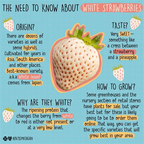 How Do You Know If Strawberries Are Sweet Broadpick