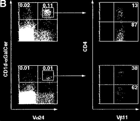 Identification of human NKT cells. (A) NKT cells present among the PBL ...