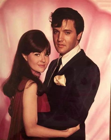 Elvis Presley Shelley Fabares Elvis Presley Pictures Elvis Presley