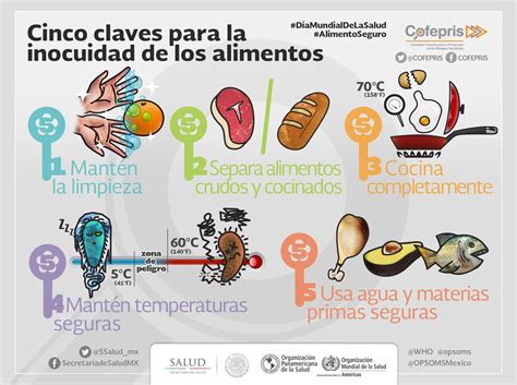 Las 5 Claves Para Mantener La Inocuidad De Los Alimentos Hot Sex Picture